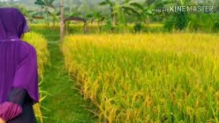 Download lagu Mp3 Langit mendung kutho ngawi mp3 Download lagu Mp3 Langit mendung kutho ngawi mp3