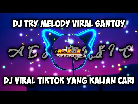 DJ PINK TRY VIRAL TIKTOK SANTUY FULLBASS (FUNKY NIGHT)
