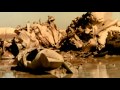 Documentary Military and War - 20th Century Battlefields: 1973 Middle East