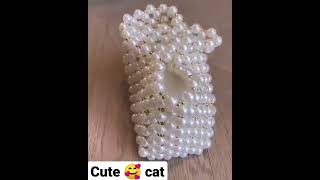 Cute 🥰 🐈 cat video for Instagram #WhatsApp message $start