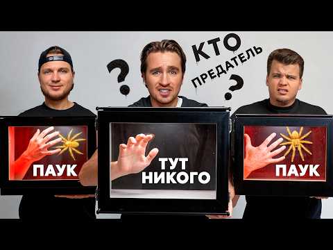 НАЙДИ ДРУГА СРЕДИ ПРЕДАТЕЛЕЙ ЧЕЛЛЕНДЖ!