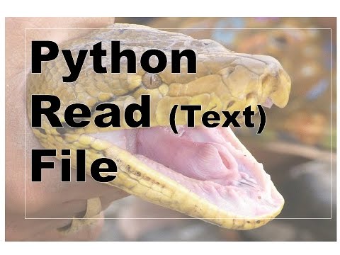 103 Python File Read