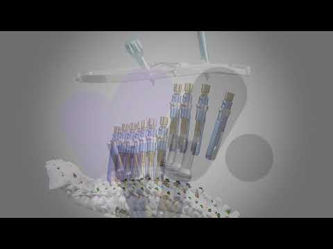 Training Video Production