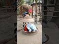Youtubevideo Youtubeshorts Shortvideo