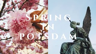 海外旅行vlog🇩🇪春のポツダムで街歩き｜プロイセン王国が遺した世界遺産、サンスーシ公園、ポツダム会談｜ドイツ暮らし