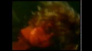 Omega Vibes - The heart and the soul - Official Video Clip