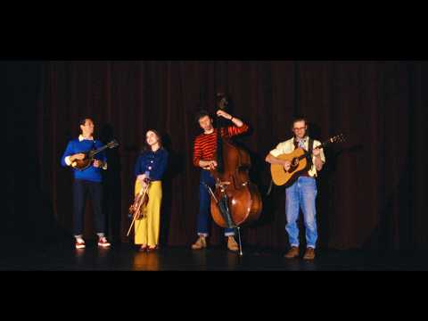 Cool To Know You - The Arcadian Wild