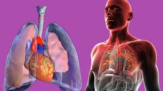 Bubbling Feeling In The Chest: Main Causes