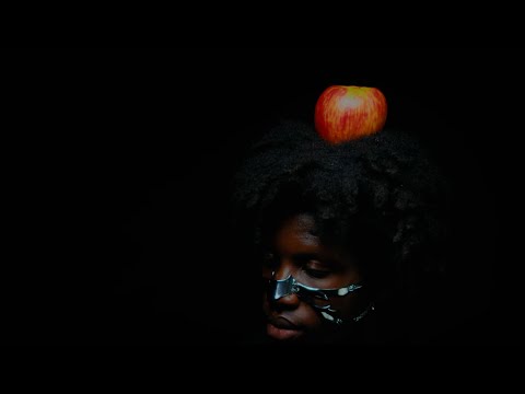 Black Hibiscus & moye - pandæmonium (Official Visualizer)