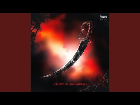 Io non mi sento italiano