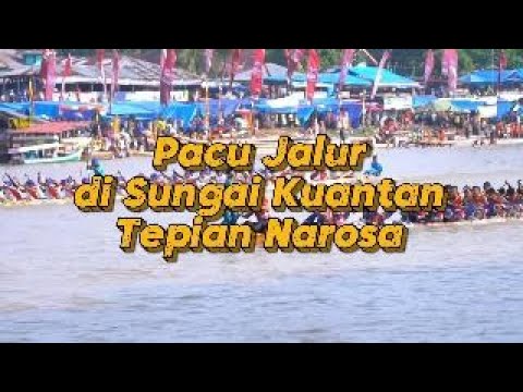 Pacu Jalur Riau: Tradisi Sungai Kuantan yang Menyatukan Ribuan Orang