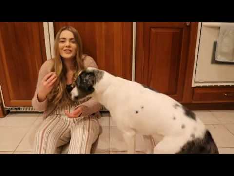 Throne of Glass Inspired Chocolate Cake (Worthy of Celena Sardothien)