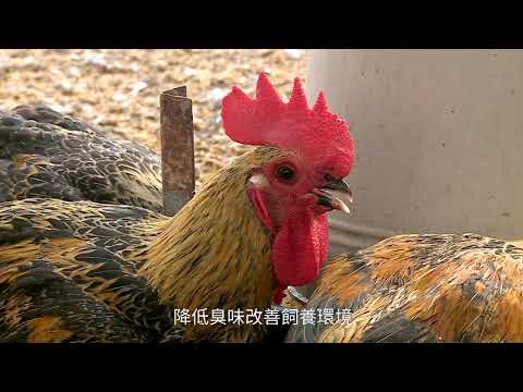 農業改革看台灣 微生物研發與應用