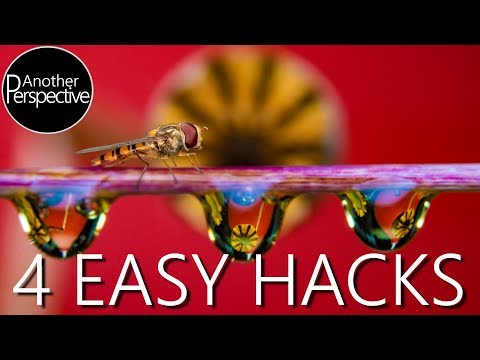 Macro Photography -  Water Droplet Photo Hacks
