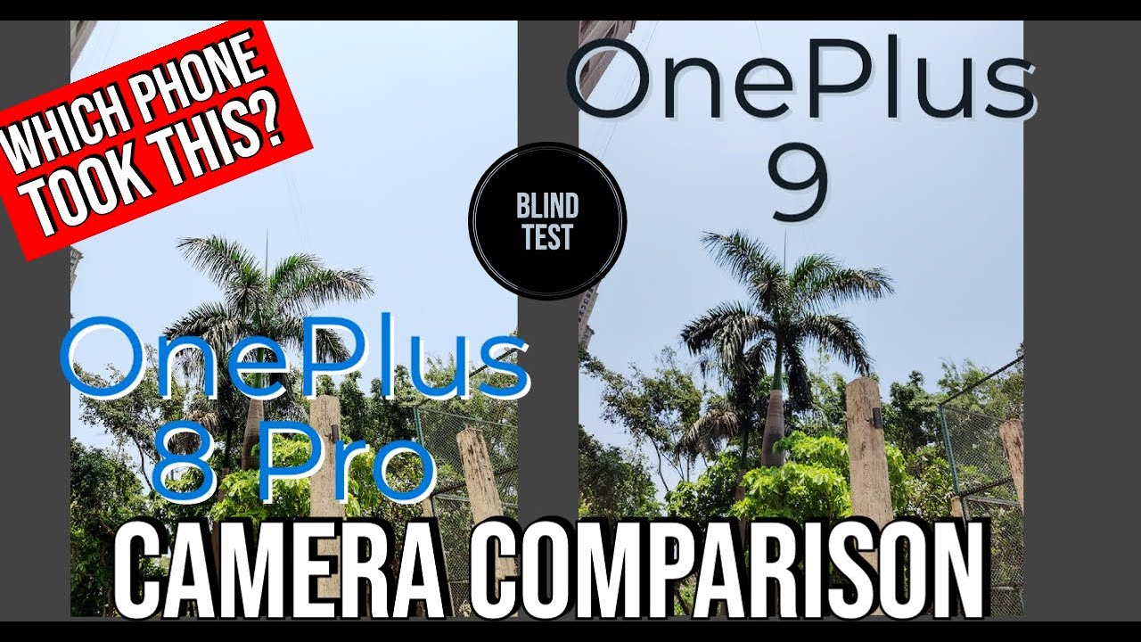 OnePlus 9 vs OnePlus 8 Pro | Camera Comparison | Blind SmartPhone Camera Test