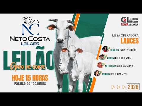 LEILÃO GADO DE CORTE NETO COSTA LEILÕES | PARAÍSO DO TOCANTINS-TO - 07/09/2026.