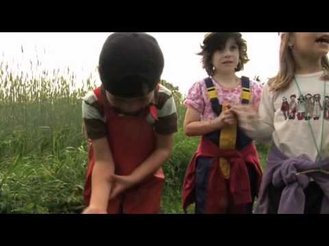 Film LBV Kindergarten Arche Noah