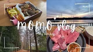 【vlog】明けましておめでとう🌅実家に帰省して色々した9連休