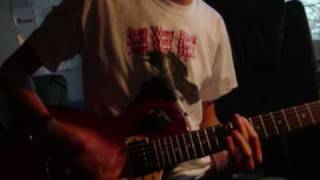 Defeater - The Bite And Sting (Guitar Cover)