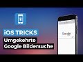 The Best 13 Umgekehrte Iphone Google Bilder Rückwärtssuche