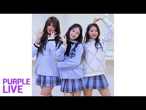 [Purple LIVE / Random Relay] FANATICS-FLAVOR(파나틱스-플레이버) - MILKSHAKE