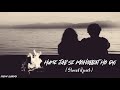 Hume Jabse Mohobbat Ho Gayi Hai Slowed Reverb Song Boarder Pooja Bhatt Khanna
