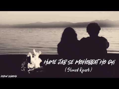Hume Jabse Mohobbat Ho gayi hai | Slowed Reverb song | Boarder | Pooja Bhatt | Khanna |