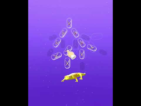 Puzzle and Evolution