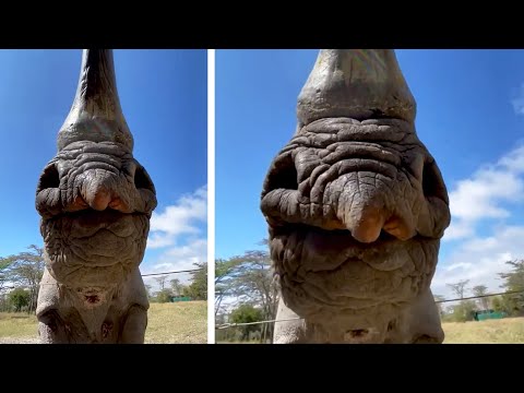 #40 Die besten Videos 2025 || ✪ Stern DuTube