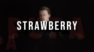 Pupa Lyrics English Translation