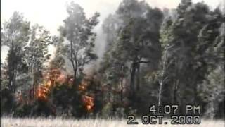 Bushfire 2nd October 2000 - Lake Illawarra