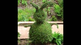 Current 93 - Hypnagogue 5