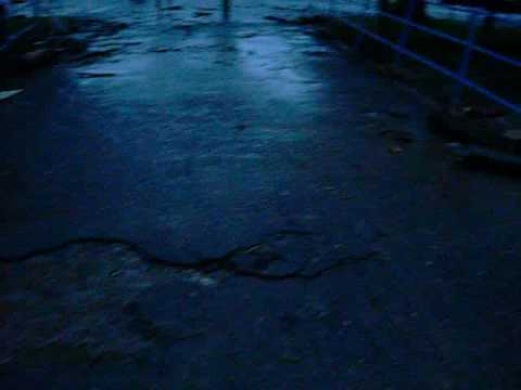 Skutki powodzi - Dziewiętlice 27.06.09