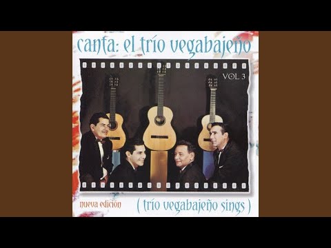 Me Enamoré De Ti - Trío Vegabajeño