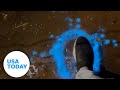 Man Discovers Bioluminescent Mud While Exploring Creek USA TODAY