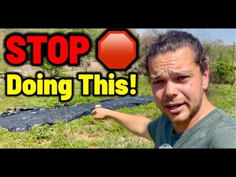 Easy Weed Control: Soil Damage Proof & Better Methods