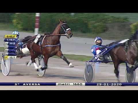 Aversa trotto 29 Gennaio 2020 - 5° Corsa