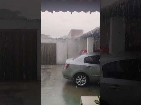 Muita chuva no meu sertão Apuiarés-CE. Riqueza é isso