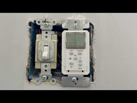 Ants Nesting in Kitchen Outlet in Rumson, NJ