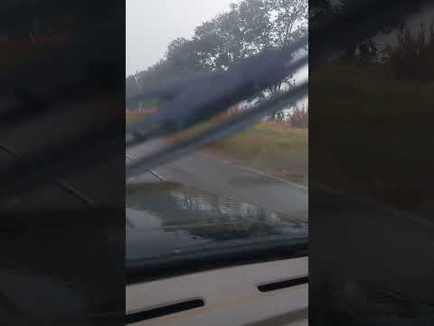 DESTRUIÇÃO PELO VENDAVAL ENTRE FIÓRÓPOLIS E PARANAPOEMA