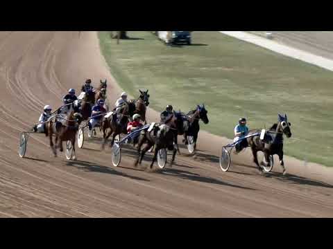 2019.04.20. 05. futam - HERCZEG TIBOR "MORGI" EMLÉKVERSENY HENDIKEP - VÖRSAS KUPA