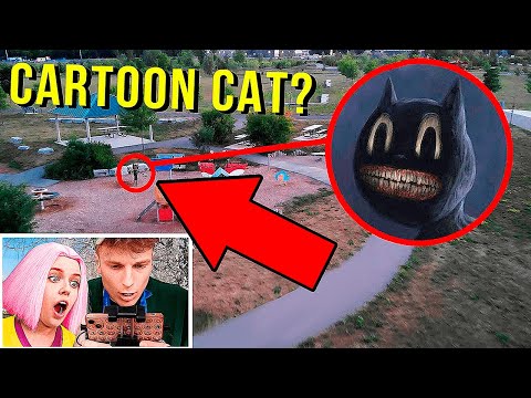 мой дрон наконец-то поймал CARTOON CAT в РЕАЛЬНОЙ ЖИЗНИ !