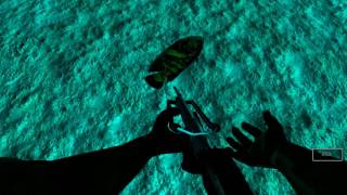 Fish for gold - Геймплей