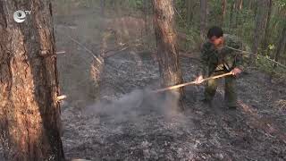 Голям пожар гори между 3 села близо до Кирково