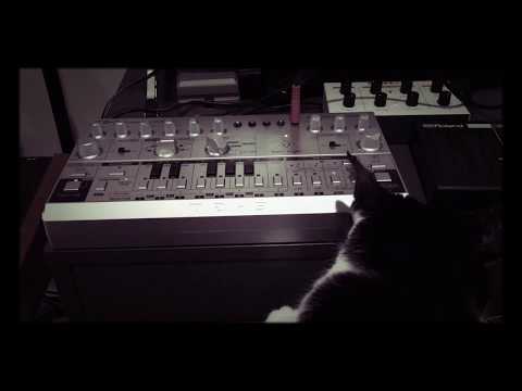 Behringer td-3: Cat approved