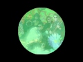 The Pillbugs in HD- Heather (Whatever)- Power Pop!!