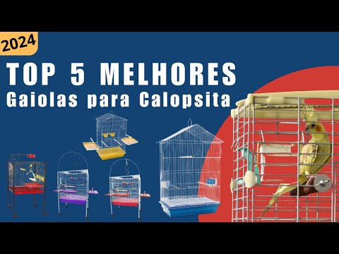 Top 5 Melhores Gaiolas para Calopsita 2024