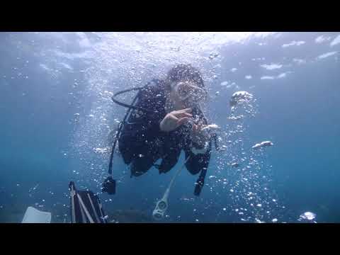 2020 0510 Taiwan 潮境 Fundive 5