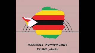Download lagu Marshall Munhumumwe lyrics mp3
