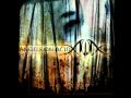 Angels on Acid - Misery Loves Company 